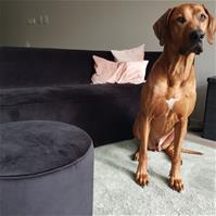 Sfeerfoto Velvet poef Anna zwart