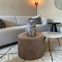 Sfeerfoto Velvet poef Beau taupe