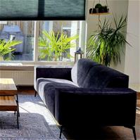 Sfeerfoto Samt Sofa Vegas 2,5-Sitzer schwarz