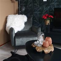 Sfeerfoto Samt Sessel Mika mit Armlehne grau