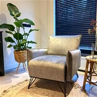 Sfeerfoto Samt Sessel Mika mit Armlehne grau