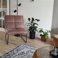 Sfeerfoto Velvet fauteuil Malaga roze