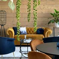 Sfeerfoto Velvet fauteuil Amy donkerblauw