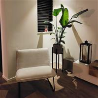 Sfeerfoto Sessel Merle Stoff modern weiß